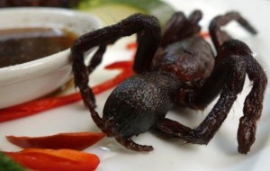 Në Kamboxhia, tarantulat janë ushqim i shëndetshëm