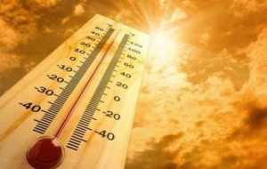 Si të përballojmë temperaturat e larta