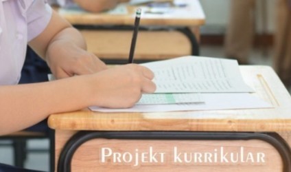 Projekt kurrikular, klasa e pestë 