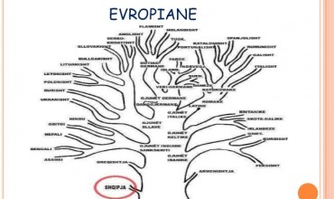 Vendi i shqipes në familjen e gjuhëve indoeuropiane