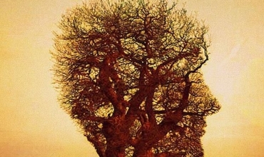 “Pema e jetës”, poezi nga nxënësi Daniel Liko 