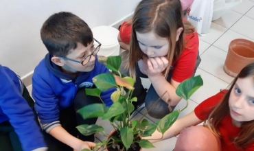 Nxënësit e shkollës "Protagonistët": Kujdesi për bimët fillon që në bankat e shkollës