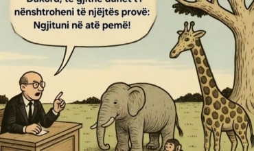 "Vlerësimi që harron njeriun"