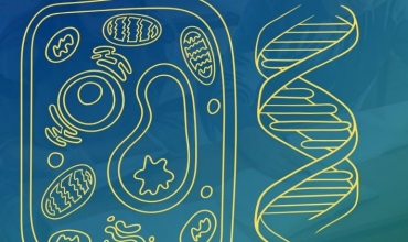 Manuali për hartimin e projekteve kurrikulare në lëndën Biologji