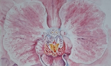 &ldquo;Orkidet&euml; e mia&rdquo; &ndash; rr&euml;fim dhe akuarele nga Iriana Papamihali