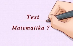 Model testimi në lëndën e matematikës, klasa e shtatë