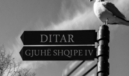 “Në bregun e pulëbardhave”, gjuha shqipe IV