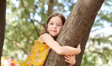 &Ccedil;ka jan&euml; aft&euml;sit&euml; e gjelbra?