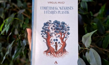 Nj&euml; v&euml;shtrim mbi romanin m&euml; t&euml; ri t&euml; Virgjil Mu&ccedil;it: &ldquo;Udh&euml;timi kok&euml;krisur i f&euml;mij&euml;s plastik&rdquo;